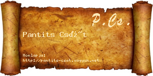 Pantits Csát névjegykártya